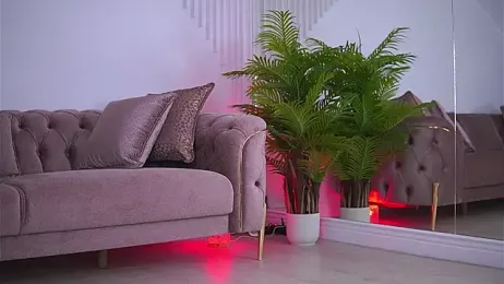 Abbela_White stripchat stream image