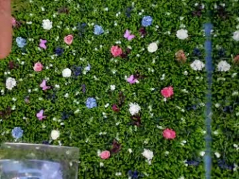 babyaylin chaturbate stream image