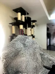 MiaJones21 stripchat stream image