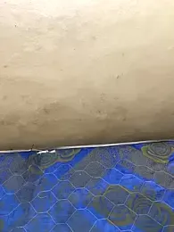 United3 stripchat stream image