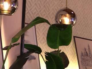 ellediane camsoda stream image