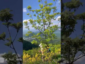 A-Huli bongacams stream image