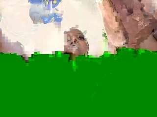 georginaemly camsoda stream image, 15.09.2025 18:50