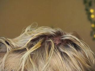 Odelyna Curless flirt4free stream image