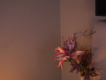 islandladies chaturbate stream image