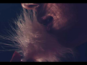 Taanni bongacams stream image