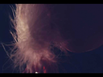 Taanni bongacams stream image