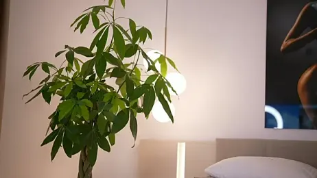 DoviaClaire stripchat stream image