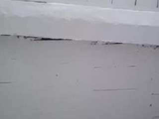 karlapum camsoda stream image