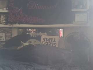 lushdiamondz camsoda stream image