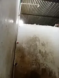 Andreita_95 stripchat stream image