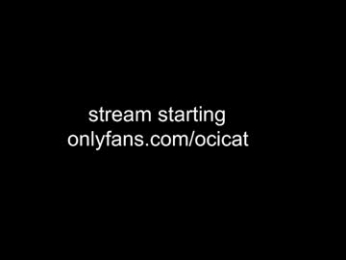 ocicat chaturbate stream image