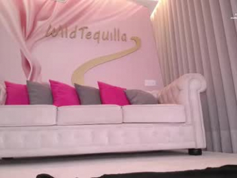 wildtequilla chaturbate stream image