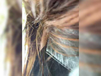 Marianna_ bongacams stream image