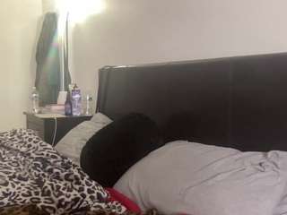 t1ger camsoda stream image