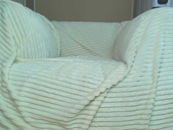 squikt bongacams stream image