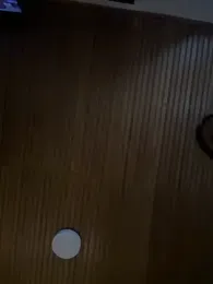 AgathaGeorgiou stripchat stream image