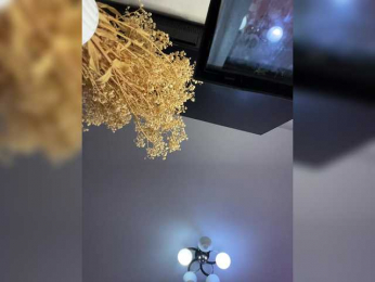 Mila-m bongacams stream image