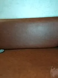 Farawla_elgmda stripchat stream image