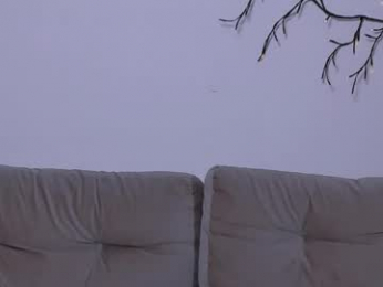 ladytrep chaturbate stream image