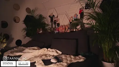 taanni_bc stripchat stream image