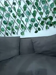 Bold-Cat stripchat stream image