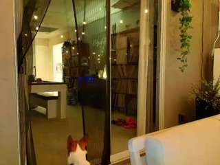 starryari69 camsoda stream image