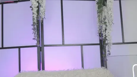 Xenomy stripchat stream image