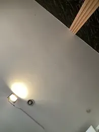 Rose-euphoria stripchat stream image