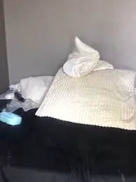 Lamborghiniasia stripchat stream image