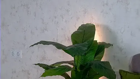 AshleyD_ stripchat stream image