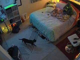 voyeurcam-hornyhostel-01 camsoda stream image