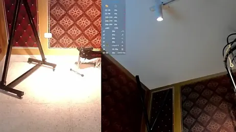 TylerBloom stripchat stream image