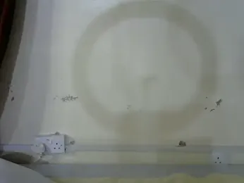 Rasta_tattooed stripchat stream image