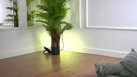 Cherrysweett stripchat stream image