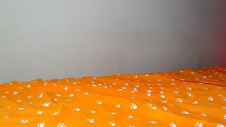 Just_alice stripchat stream image