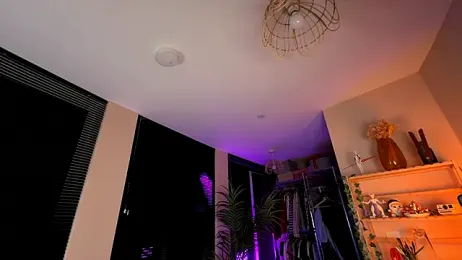 _vixenp stripchat stream image