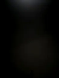 Wet-Pussycat stripchat stream image