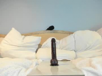 eatmygingersnapps chaturbate stream image