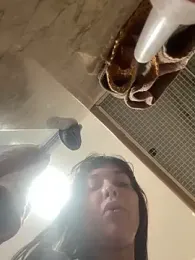 Nikatsu stripchat stream image