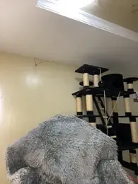 MiaJones21 stripchat stream image