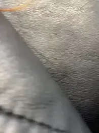 Sunny___Bunny stripchat stream image