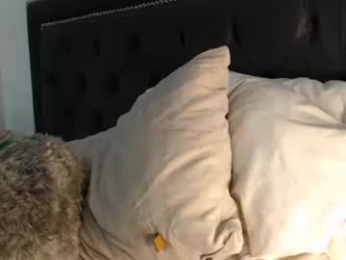 lady____a chaturbate stream image