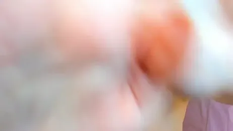 AliceLebel stripchat stream image