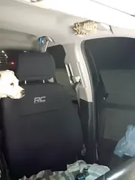 SheIsSomething stripchat stream image