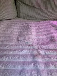 sweettsofiaa stripchat stream image