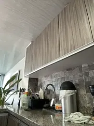 Bustykeyla stripchat stream image