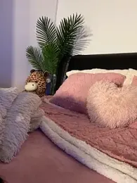 Andrestarr stripchat stream image