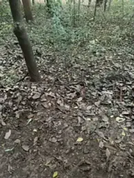 pimange34 stripchat stream image