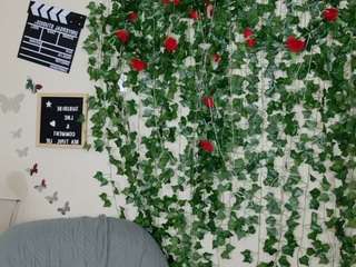 butterflybooty camsoda stream image